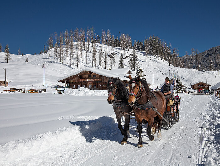 Several people ride a horse-drawn sleigh through the winter landscape.