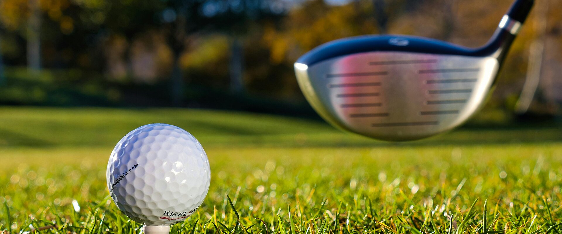 Golfschläger kurz vor dem Abschlag auf weißen Golfball im Gras