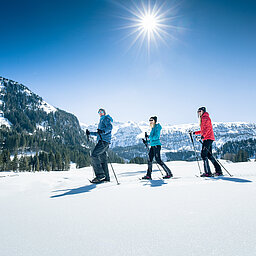 Three snowshoe hikers in a winter panorama under a blue sky