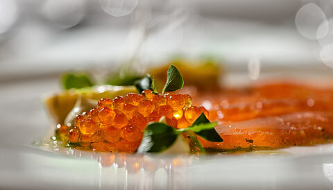 Delicious dish at the gourmet wellness hotel Lürzerhof