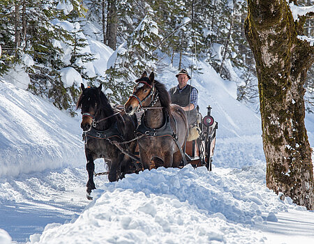 Mehrere Personen fahren mit einem Pferdeschlitten über die winterliche Landschaft