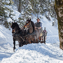 Mehrere Personen fahren mit einem Pferdeschlitten über die winterliche Landschaft