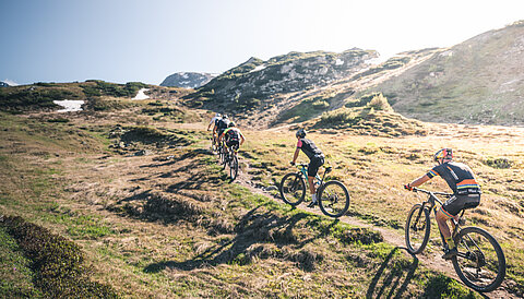 A group cycling during an active vacation in Austria near the Lürzerhof