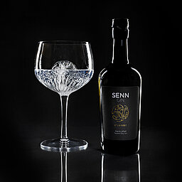 Lürzerhof's SennGin at the Gourmet Hotel in Austria